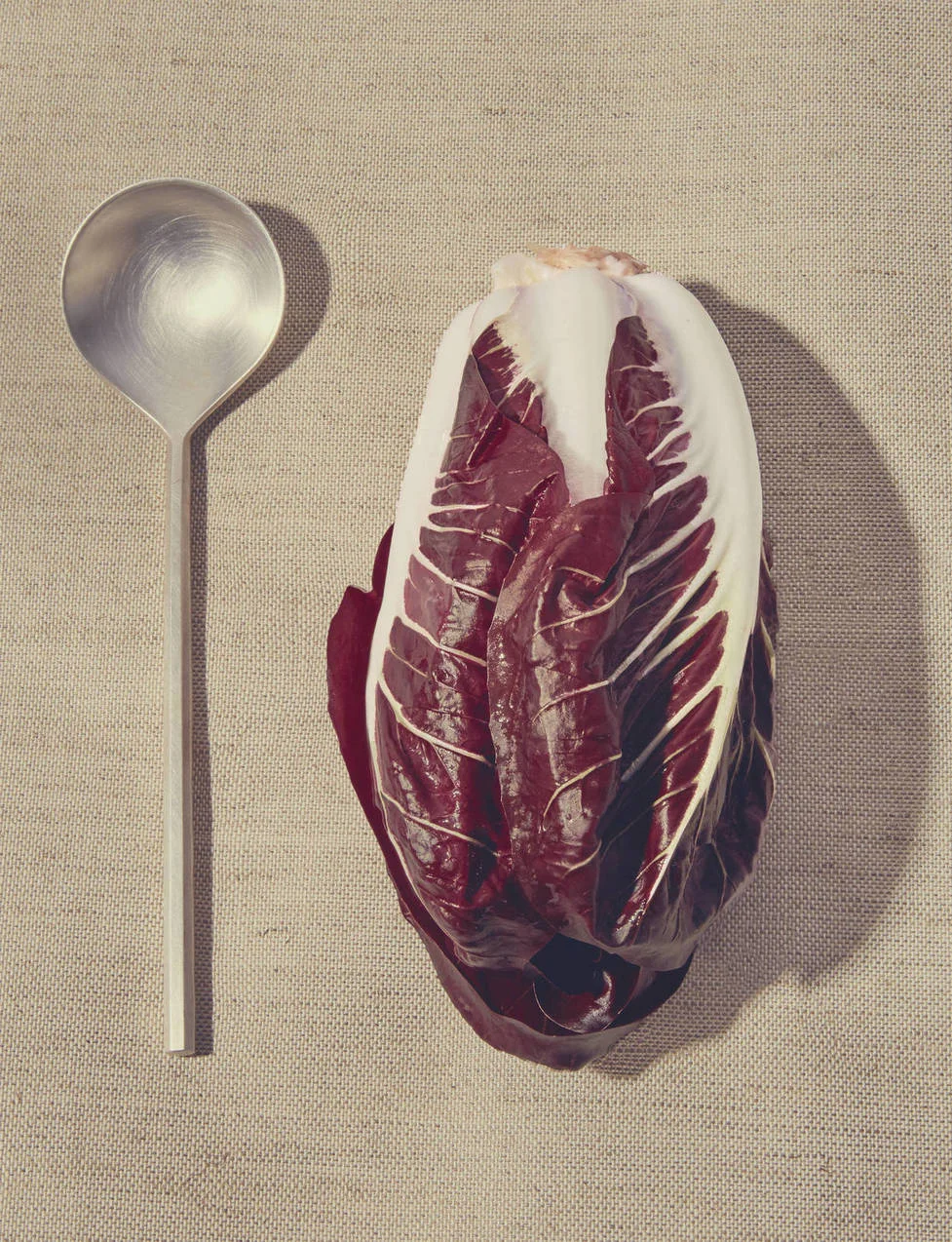 In considering an arrangement similar to this one illustrated in Arranging Things from the perspective of its resonance, Koren notes that “The stark, contrasting sensuality and the subtle suggestion of anthropomorphism provide ample impetus for pondering the ‘why’ of the pairing—at least for a few moments.” Pictured: Azmaya Silver Spoon