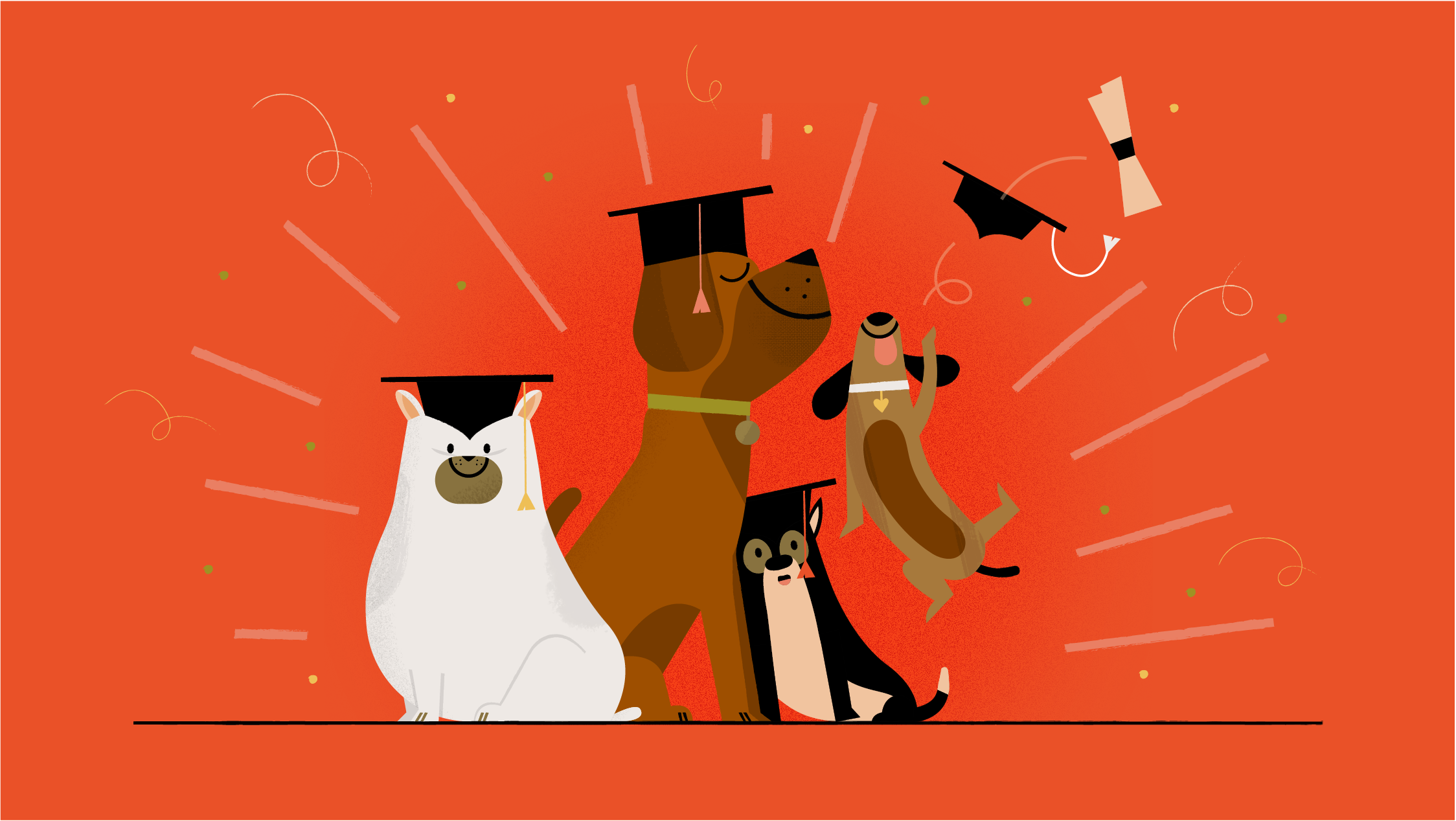 Petplan Alex John Tait petplan-alex-john-tait