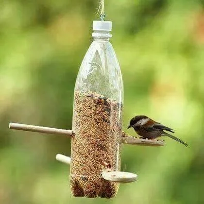 Bottle & Spoon Bird Feeder Photography by Ed Judice