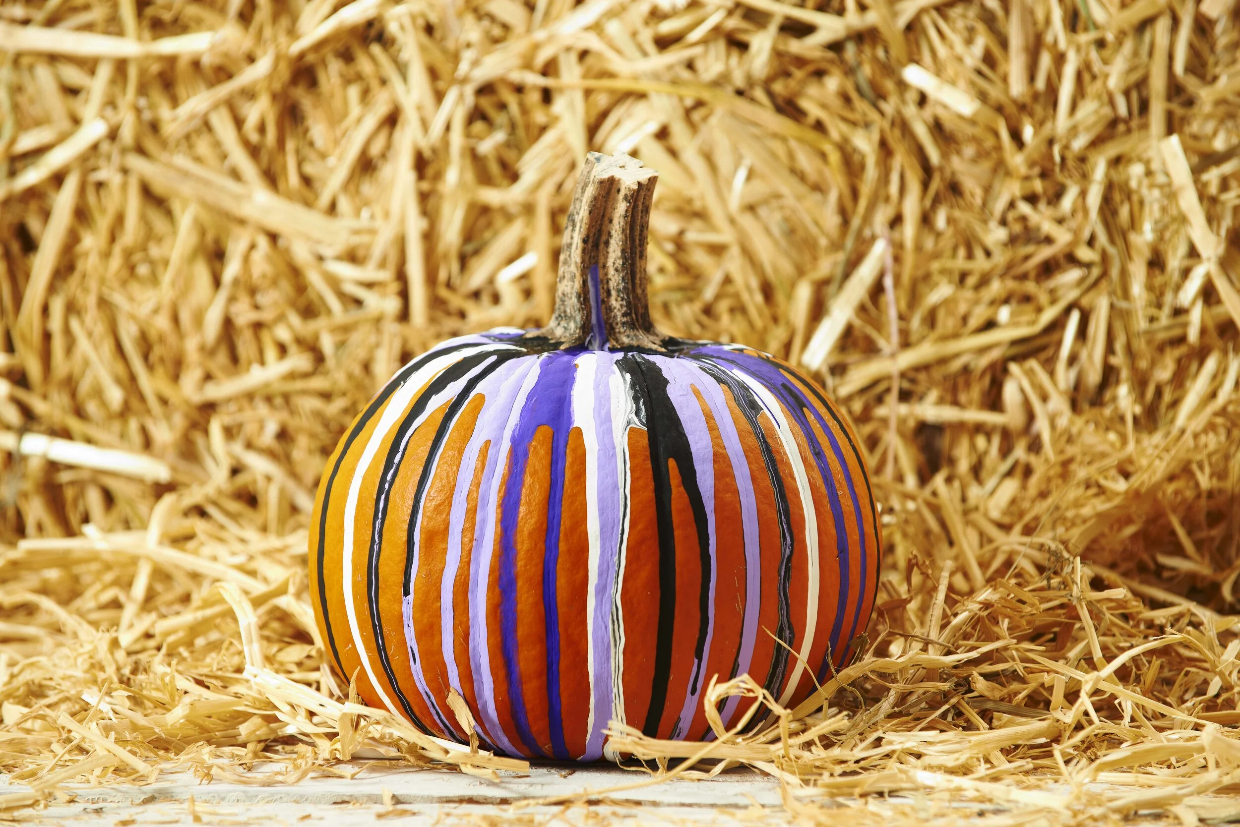 H5_10_20_Craft_b [P]_137CD7F9163_8868176;3.jpg