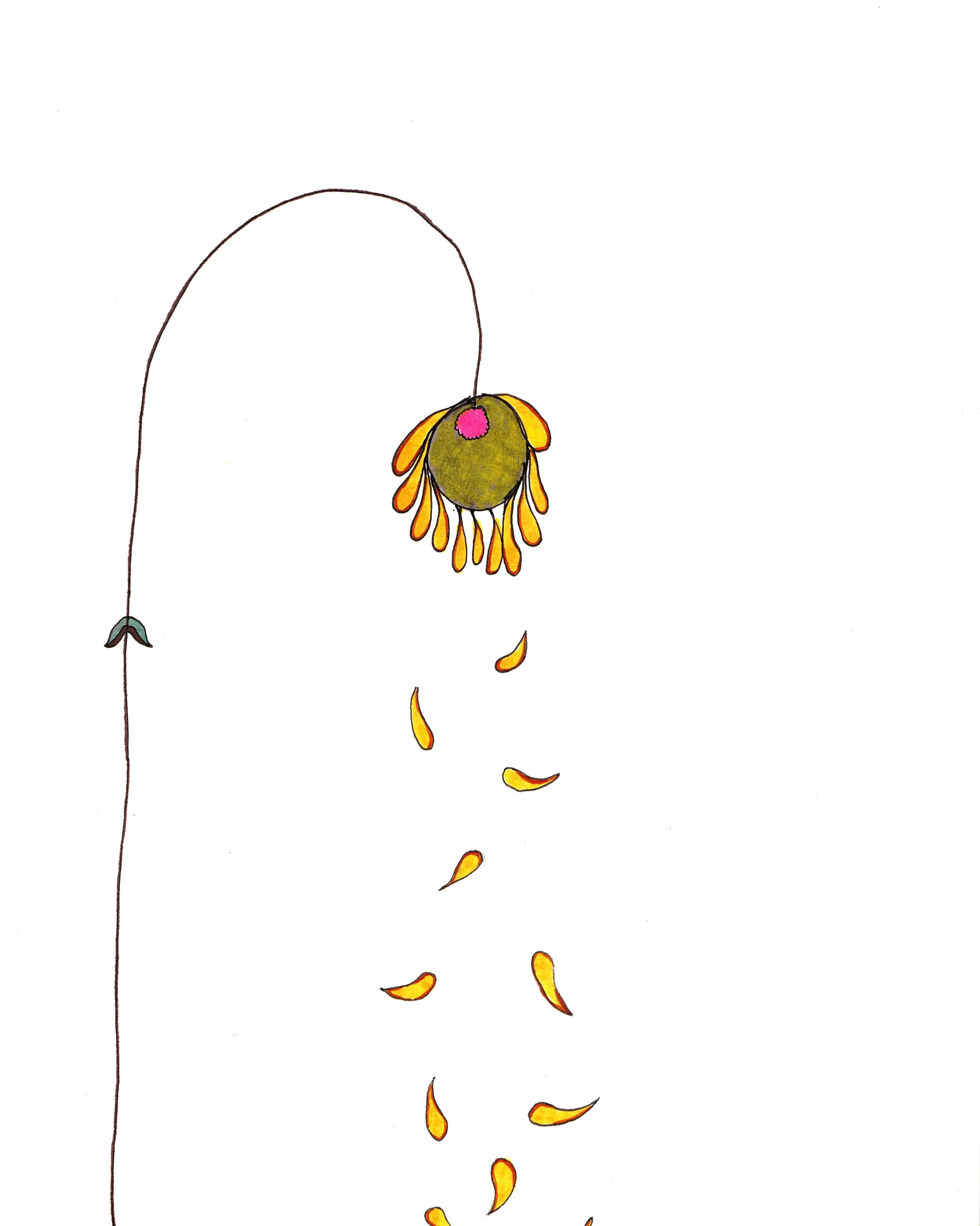 Falling Petals