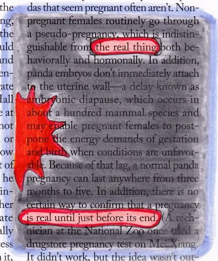 The Real Thing