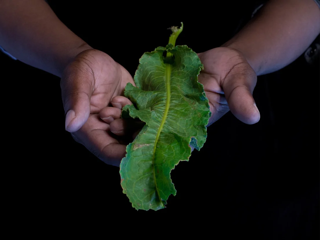 Mkhuseli_HL_5MMFC0029(11)_sRGB.jpg
