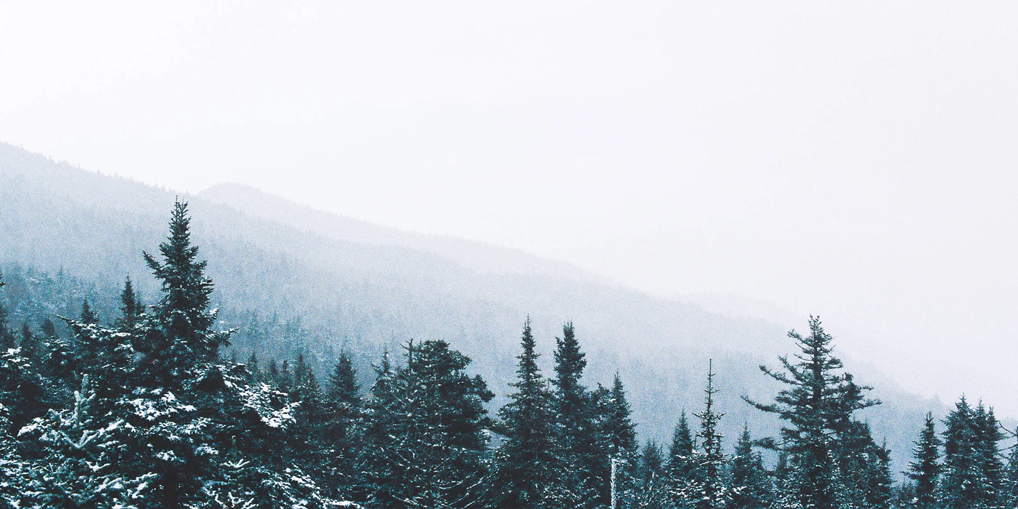 SiloDistillery_Whiskey-Header.jpg