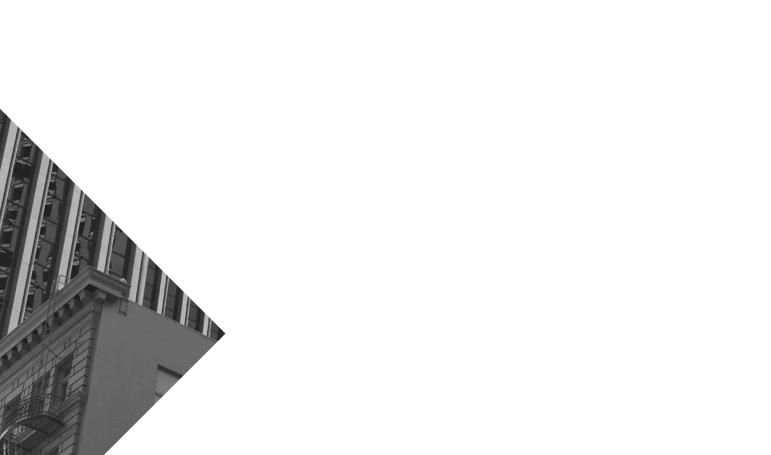 B bio background.jpg