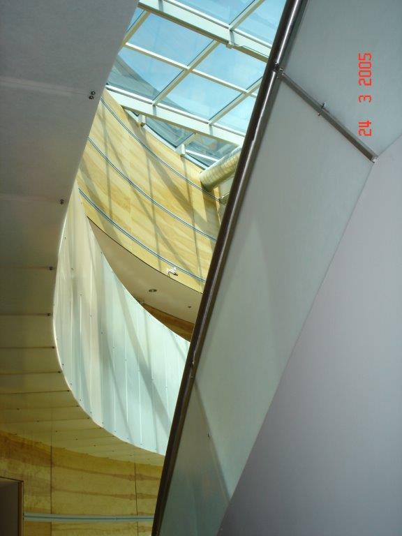 DSC02409.jpg