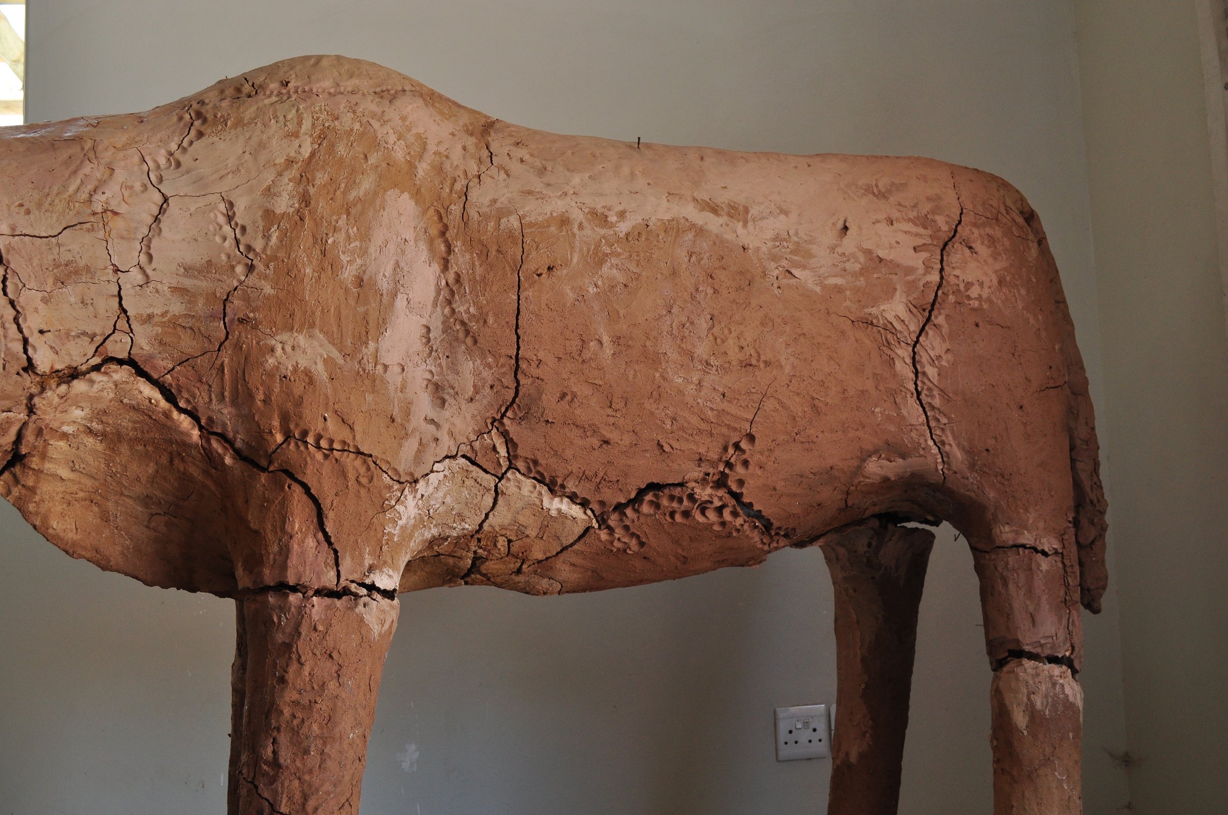 oxen in clay 4.jpg