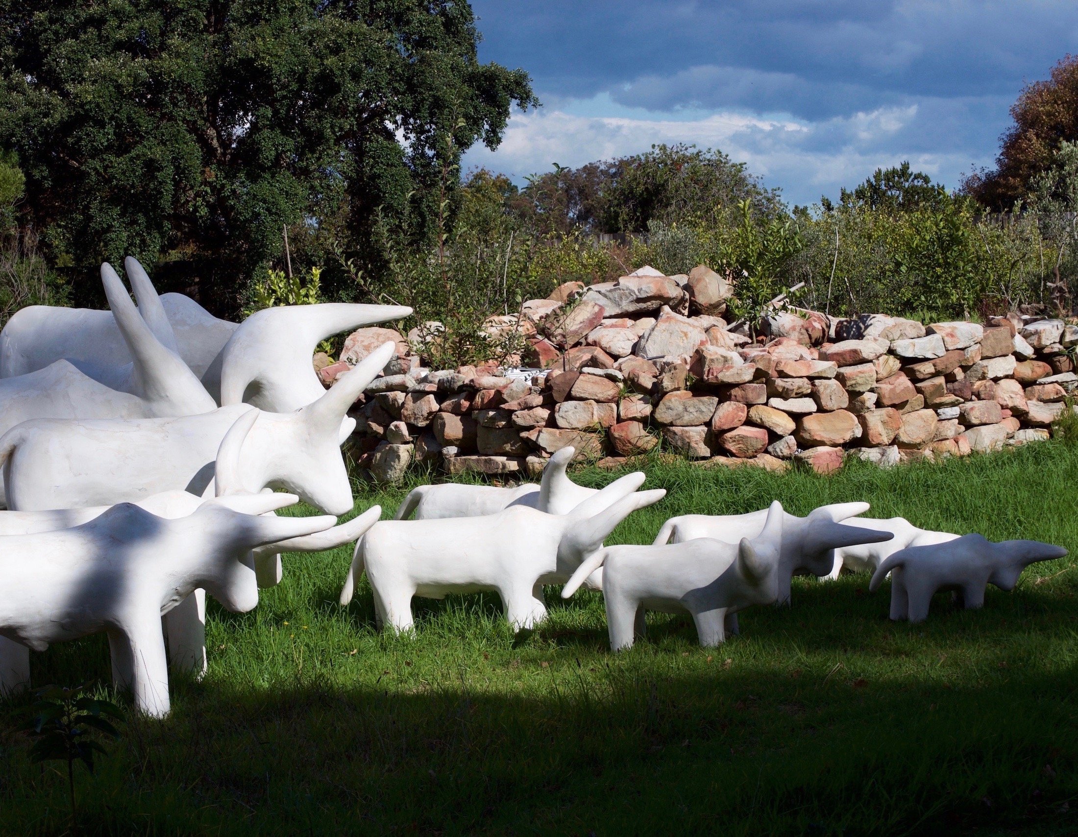 Herd of Oxen at Stone House  side view.jpg