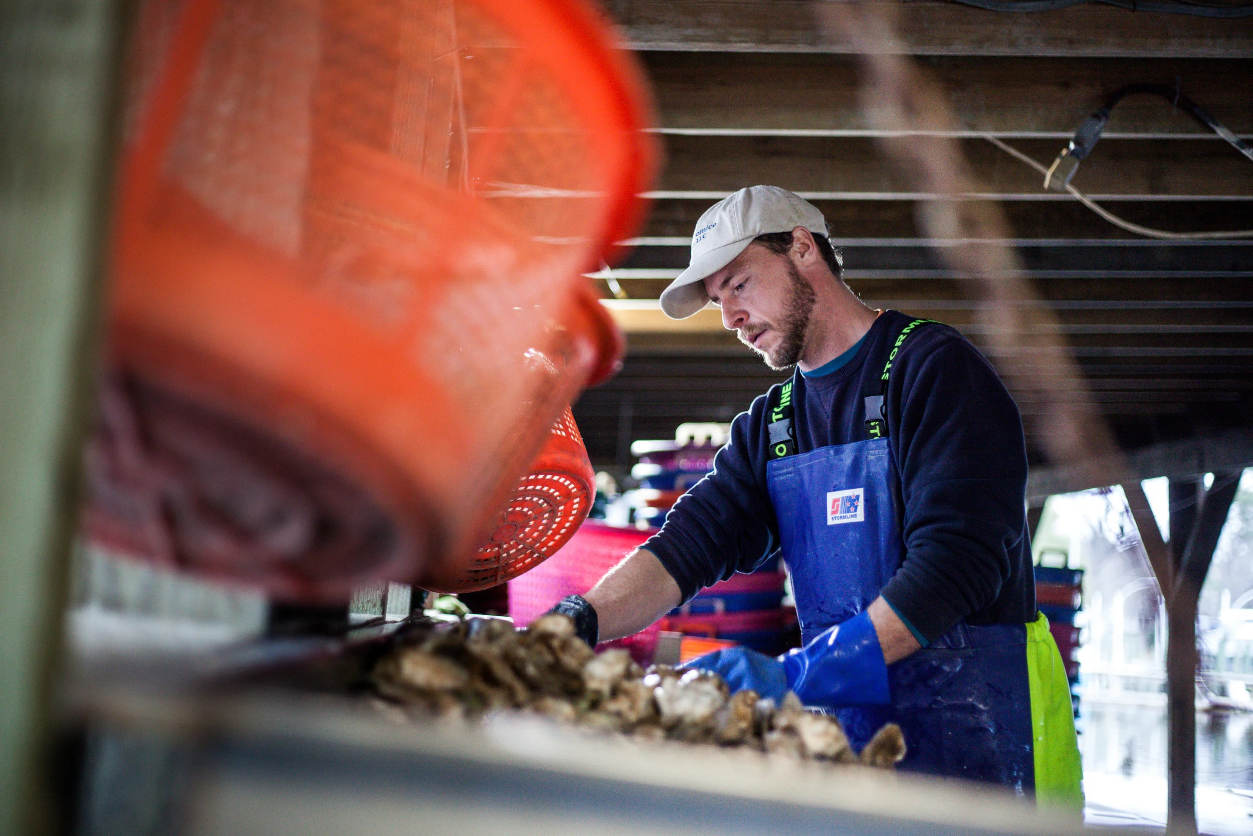 Little Wicomico Oyster Co., Heathesville, VA, 2018 / Collaboration with Neon Tangerine