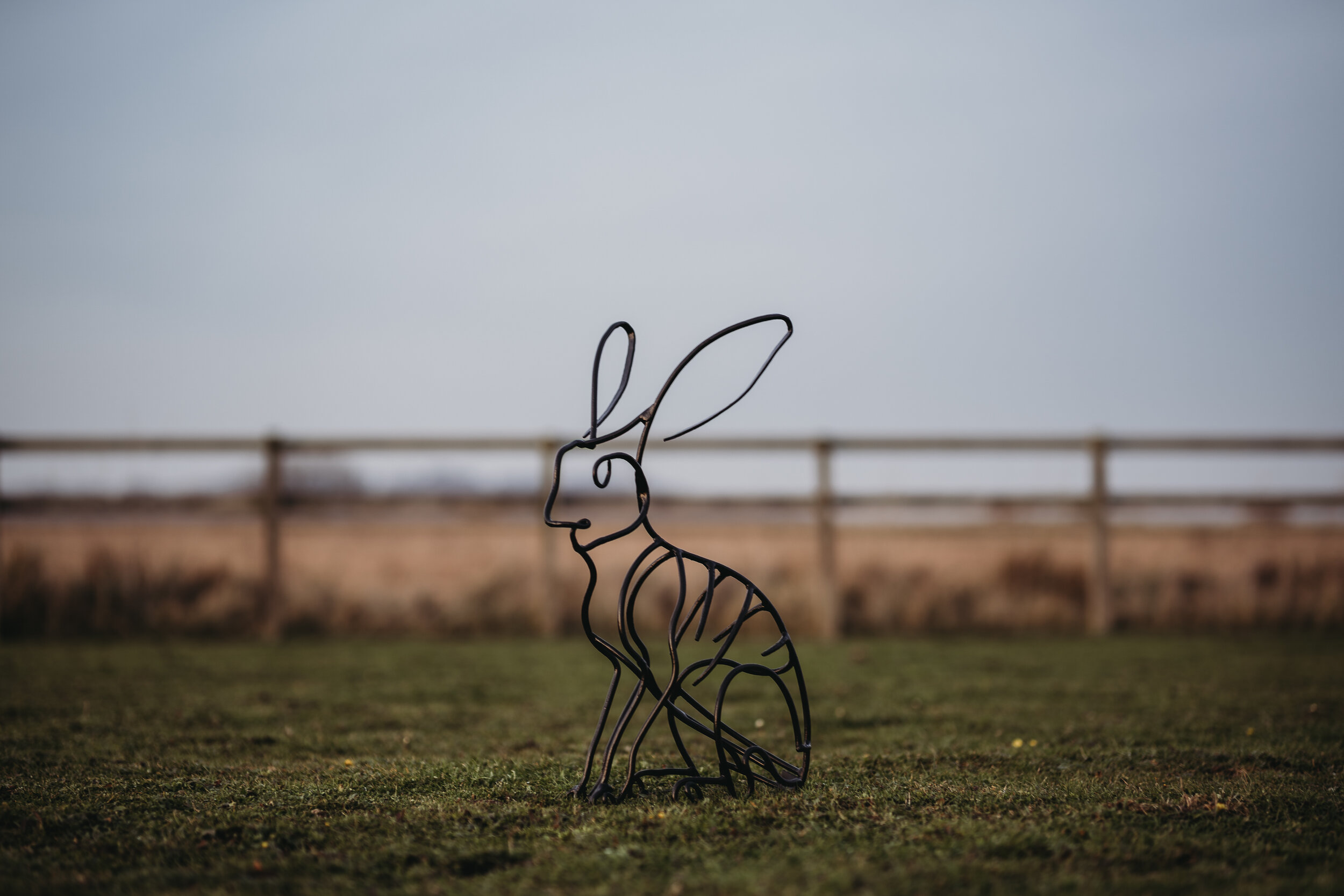 Steel Hare sculpture. 