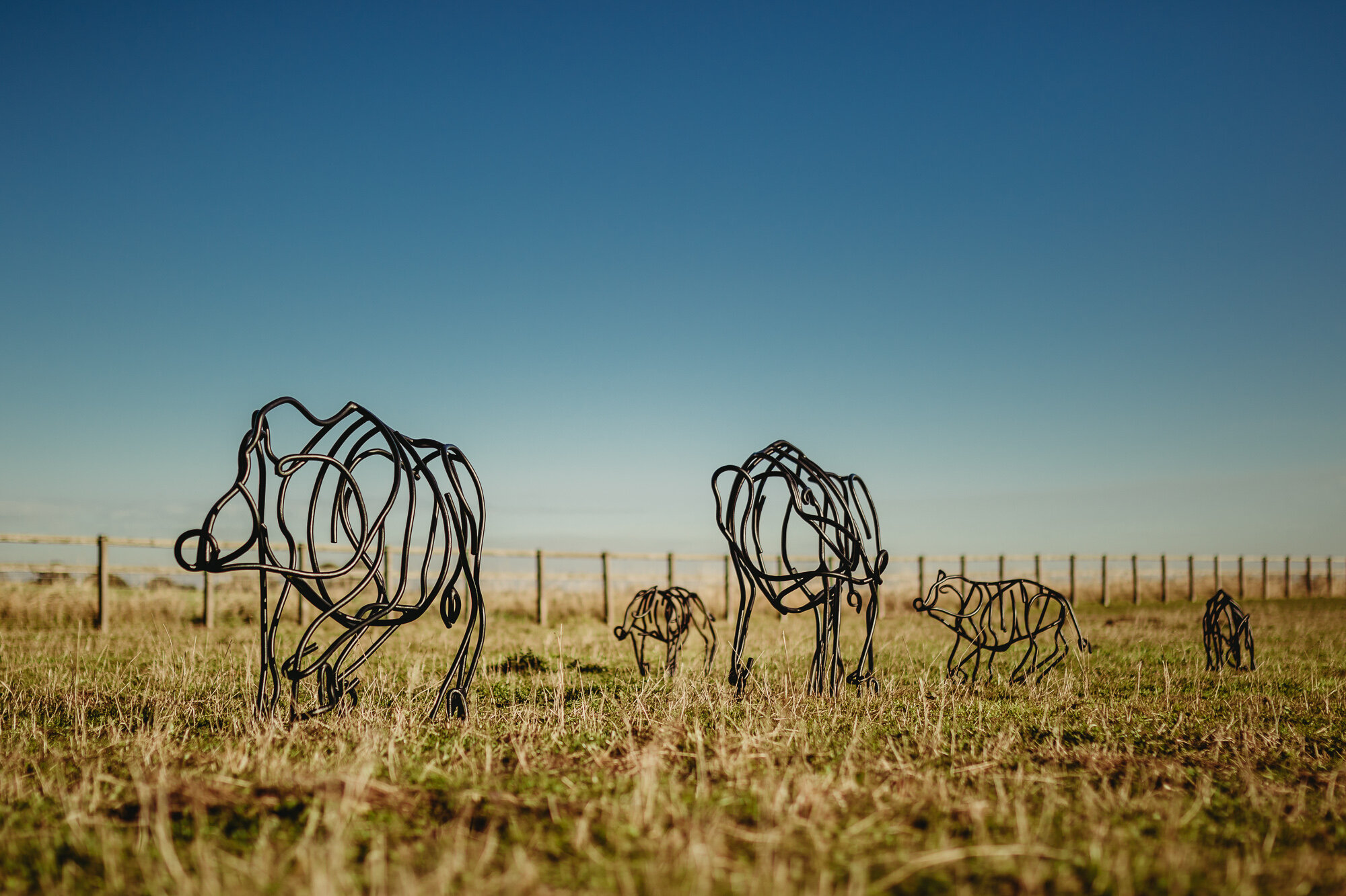 wild boars Steel sculptures