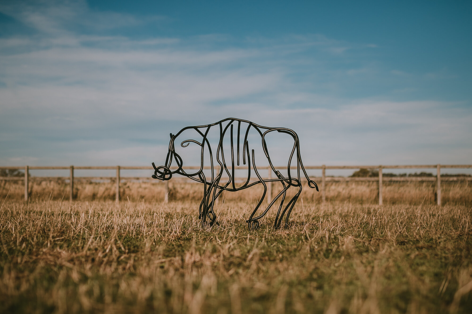 Steel wild boar Sculpture