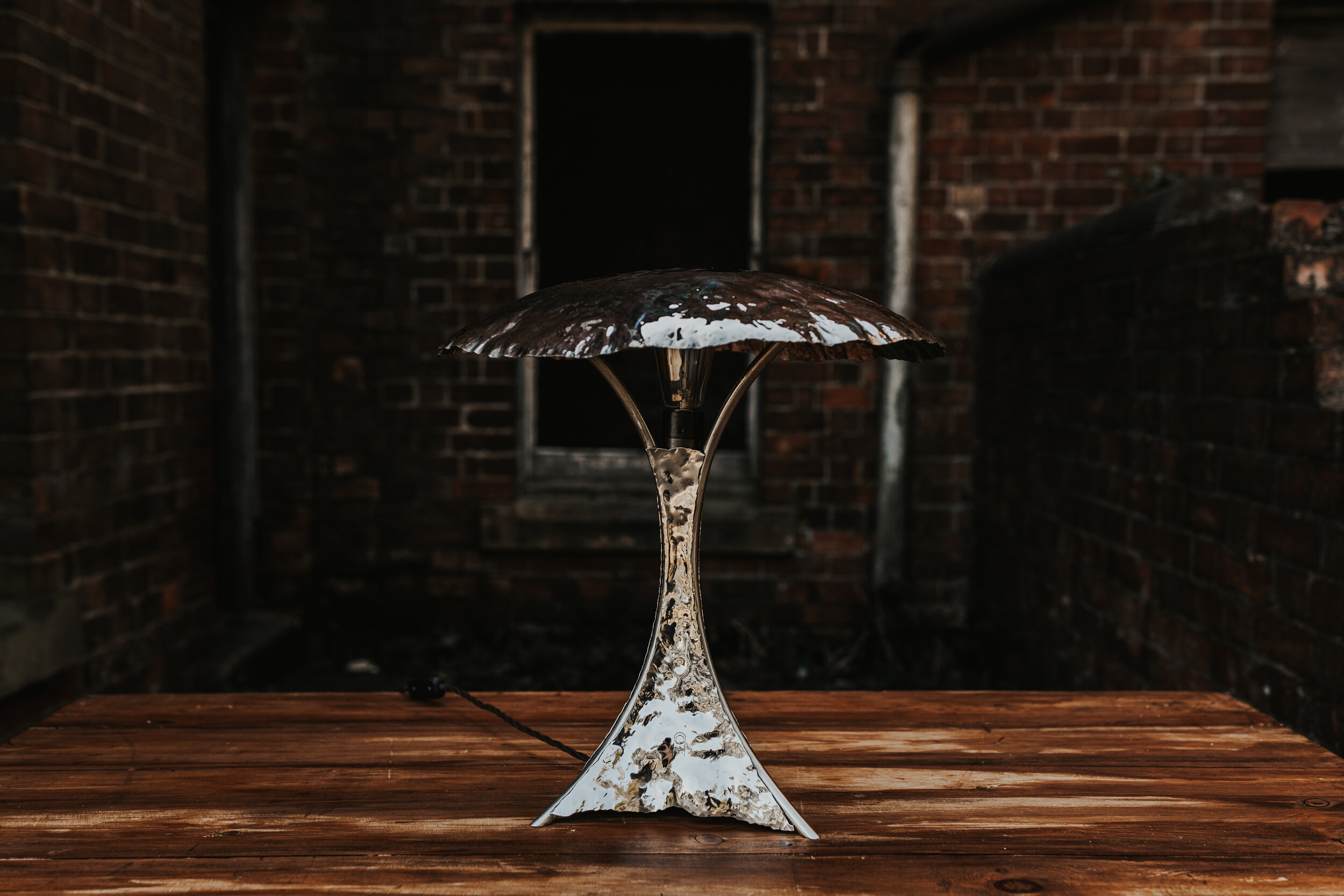 stainless steel Shroom Table Lamp, Sculptural bespoke Steel  Lighting