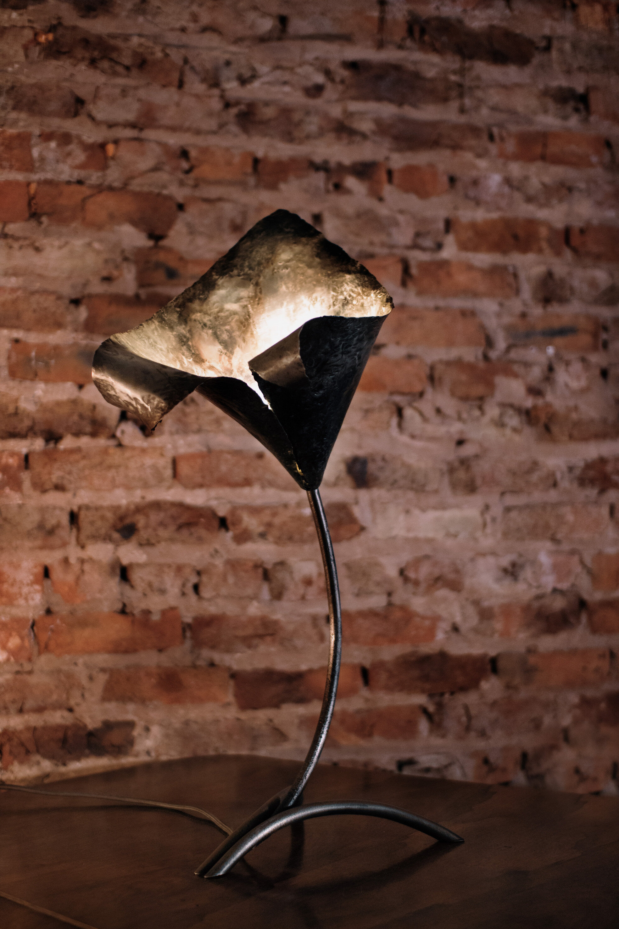 Sculptural Table Lamp, Sculptural bespoke Steel  Lighting