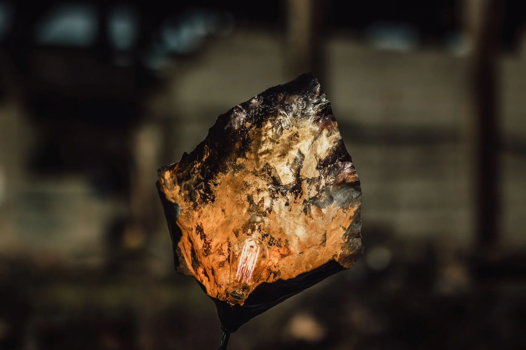 Where the Lily Lamp Stemmed from?