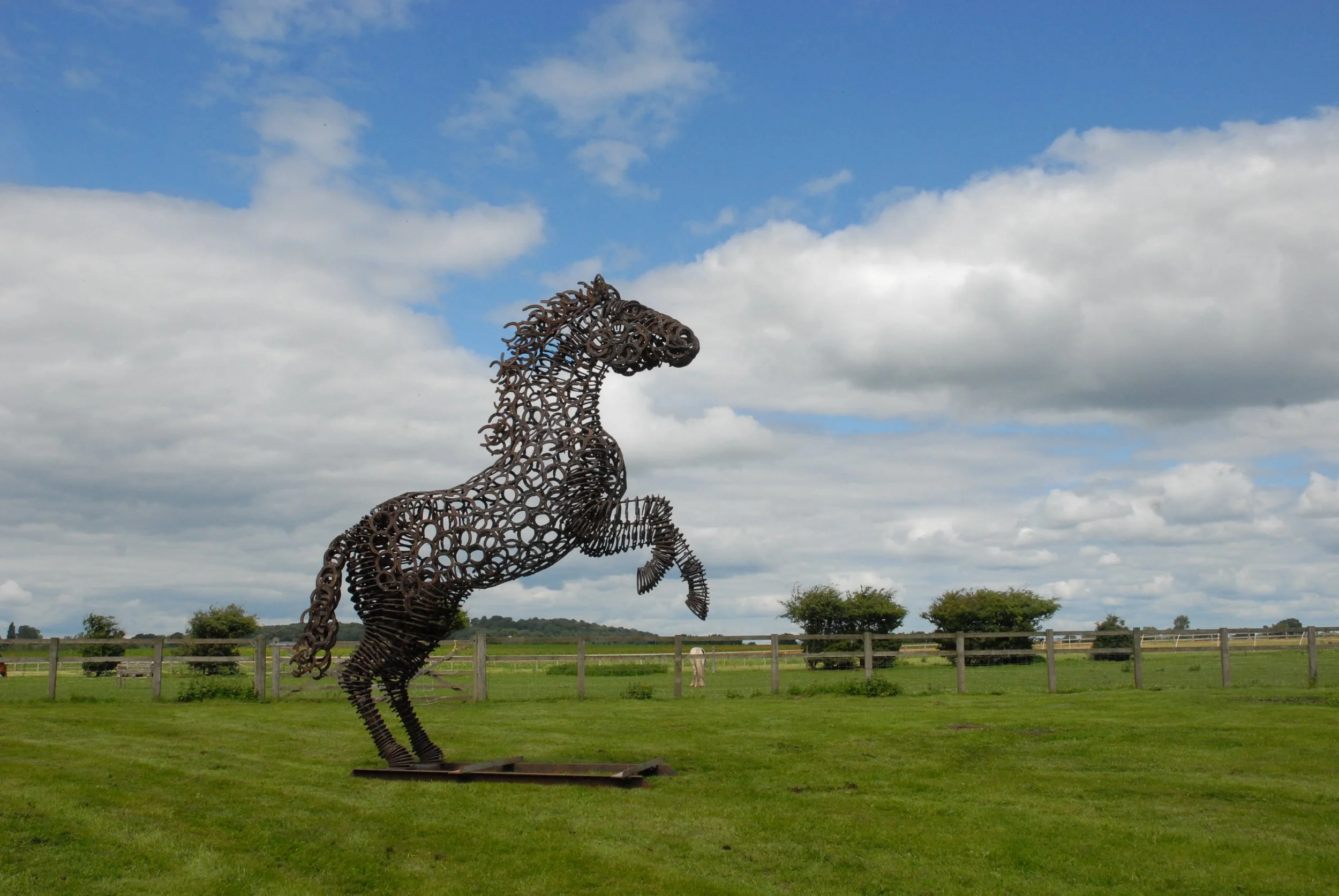   2nd Rearing Horse  