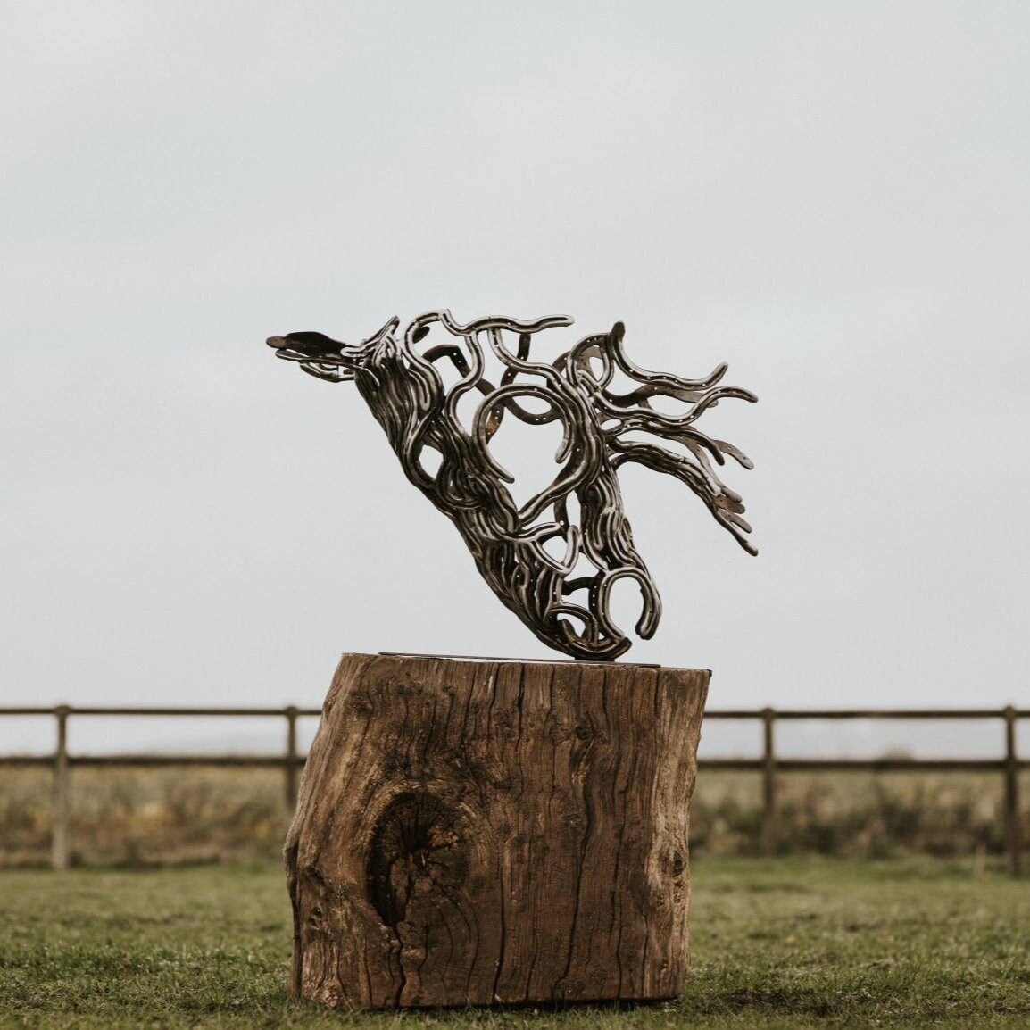 Steed ( Horse head Steel sculpture)