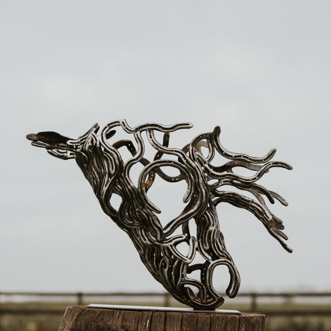 Steed ( Horse head Steel sculpture), side view