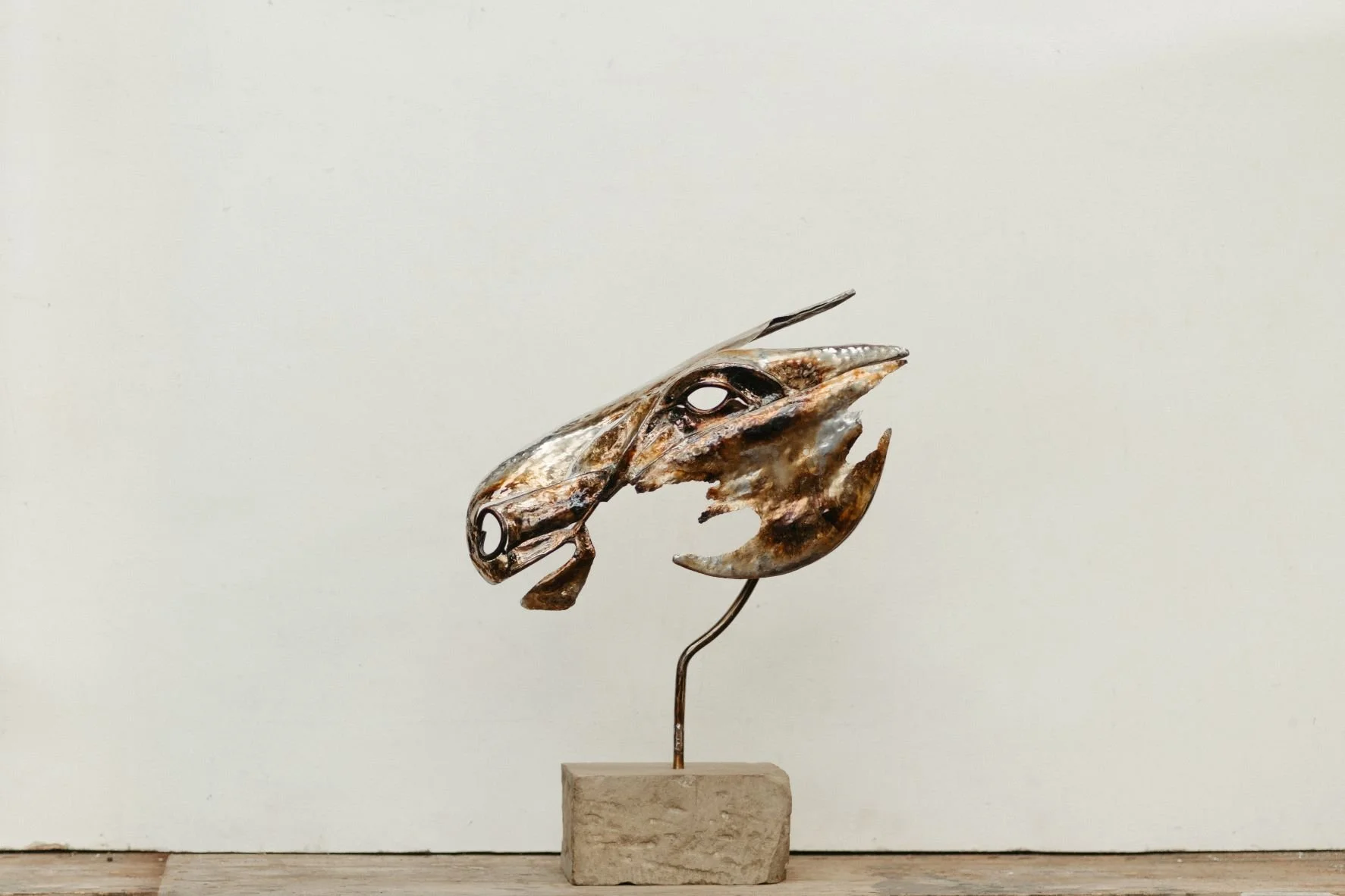 Eye Essence,Ollie Holman (4).JPG