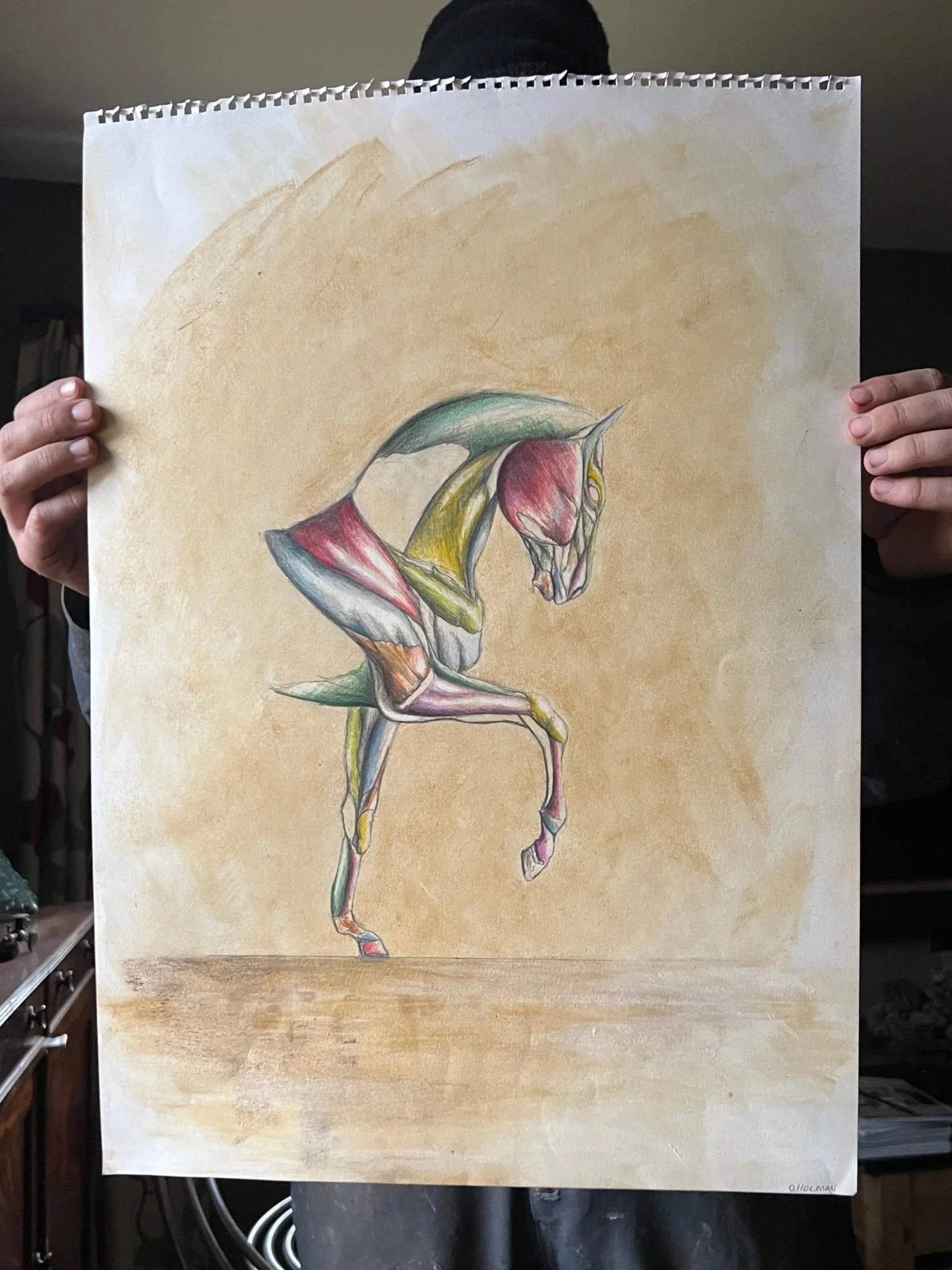 Horse Panel Study