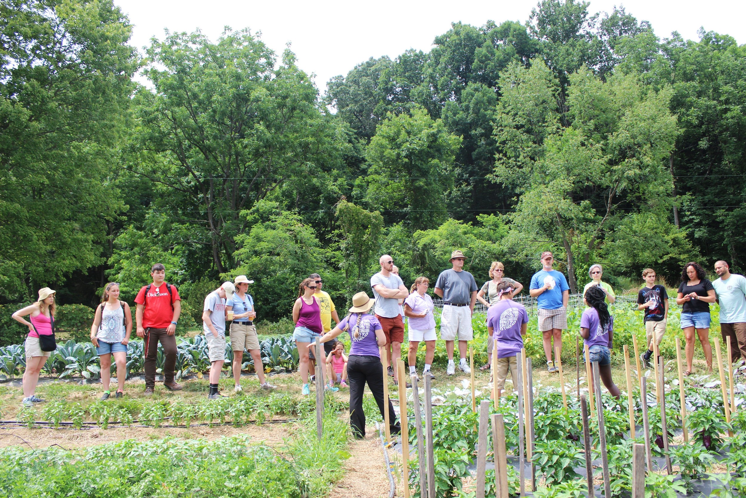 Farm Tour 