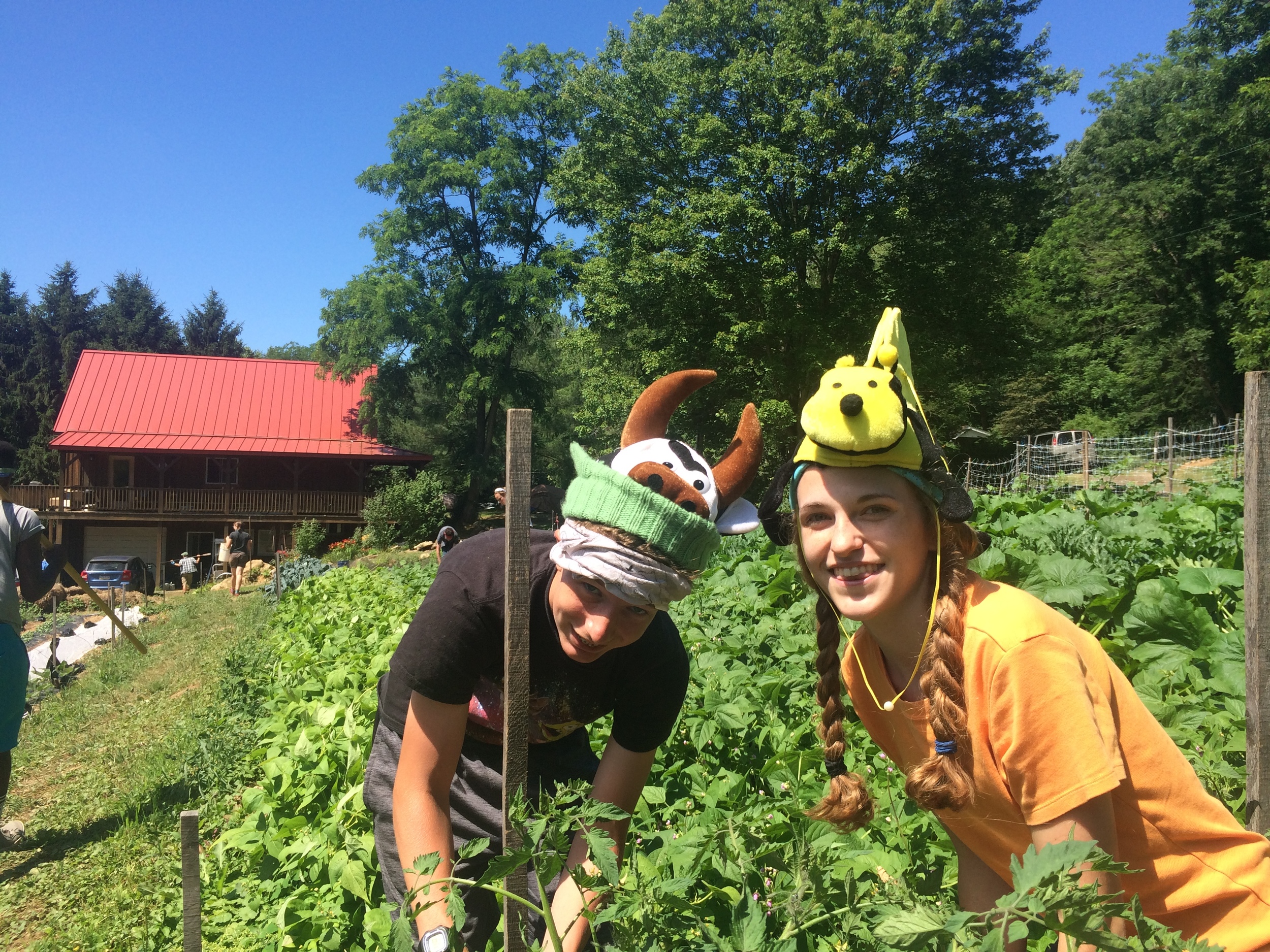 Funny Hats