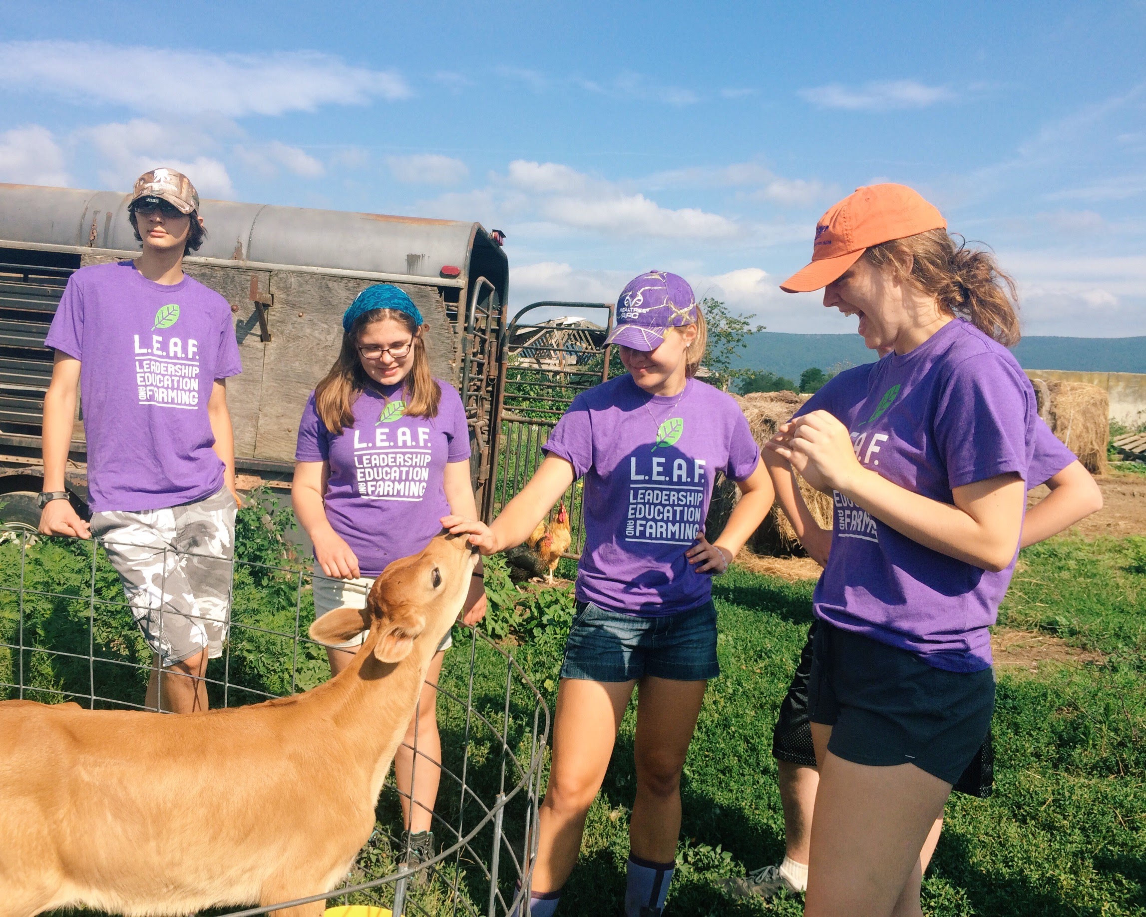 Bonding with calves