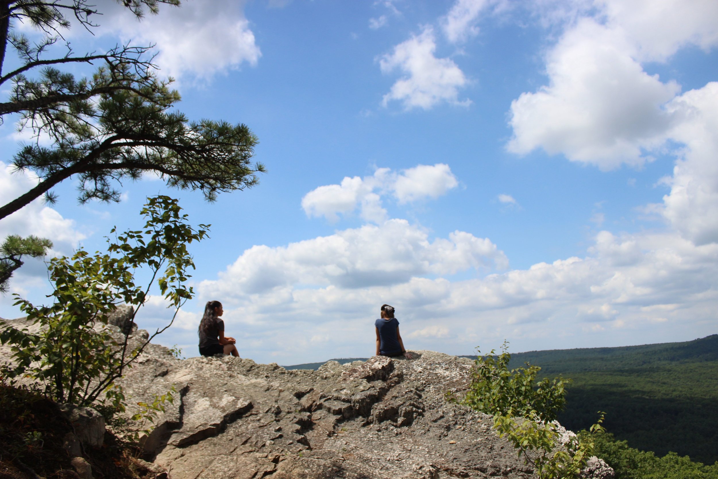 Enjoying the view