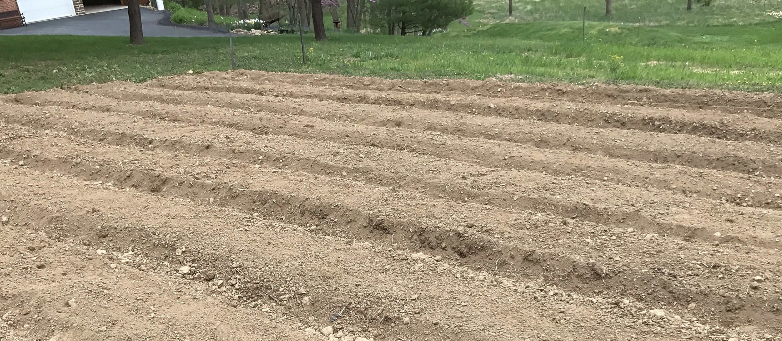 Freshly prepared beds!