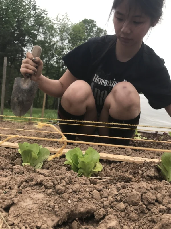 Elizabeth, who has worked with LEAF since 2015, planting salad greens.