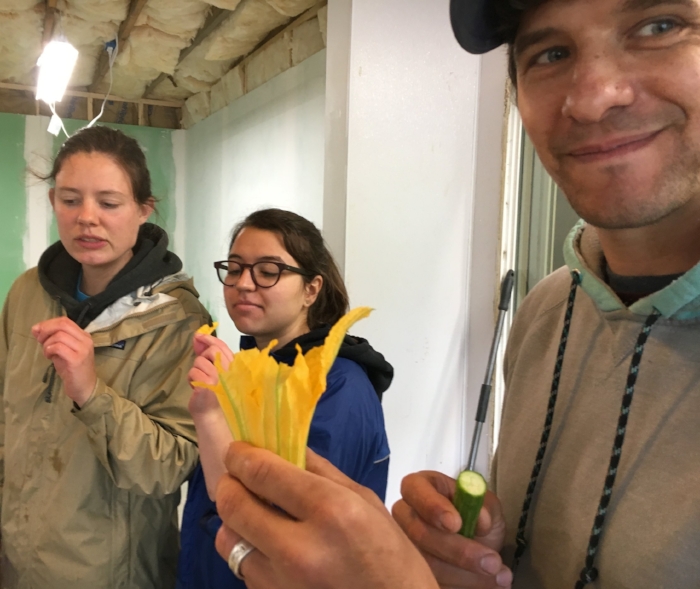 Trying squash blossoms raw - some were doubtful at first.