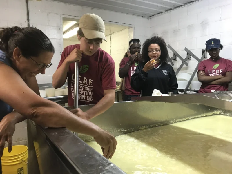 A quote from Thursday: "Oh my curd!"