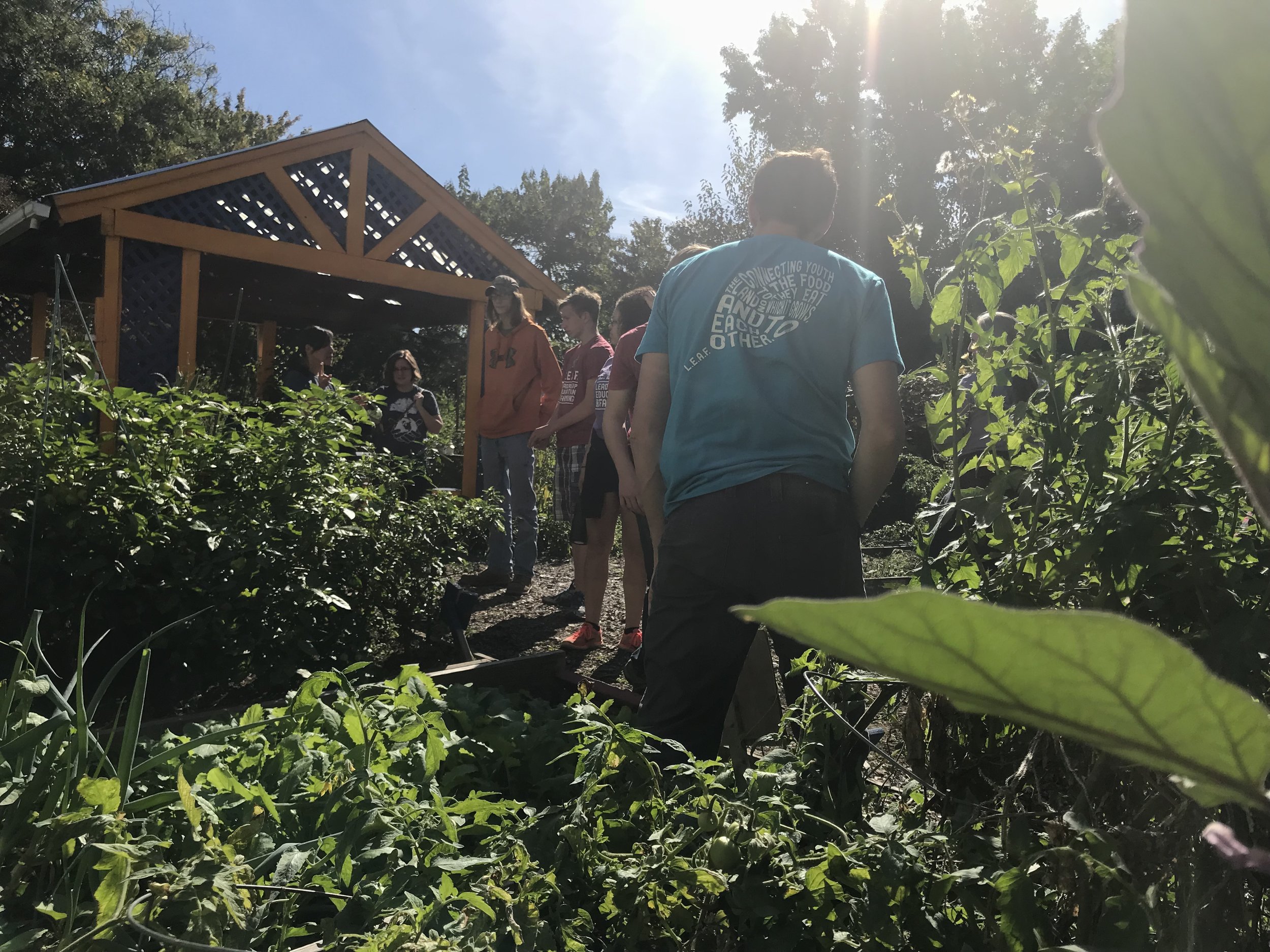 Learning about Norris Square Neighborhood Project