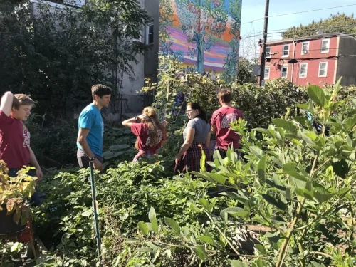 Youth exploring the Norris Square Neighborhood Project garden in North Philly.