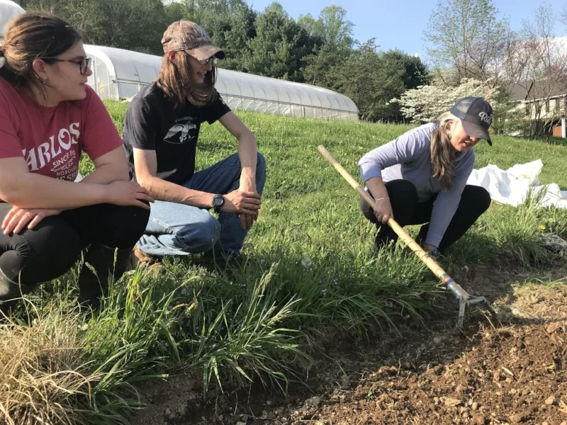 Heidi instructs crew members about the concept of stale bedding.