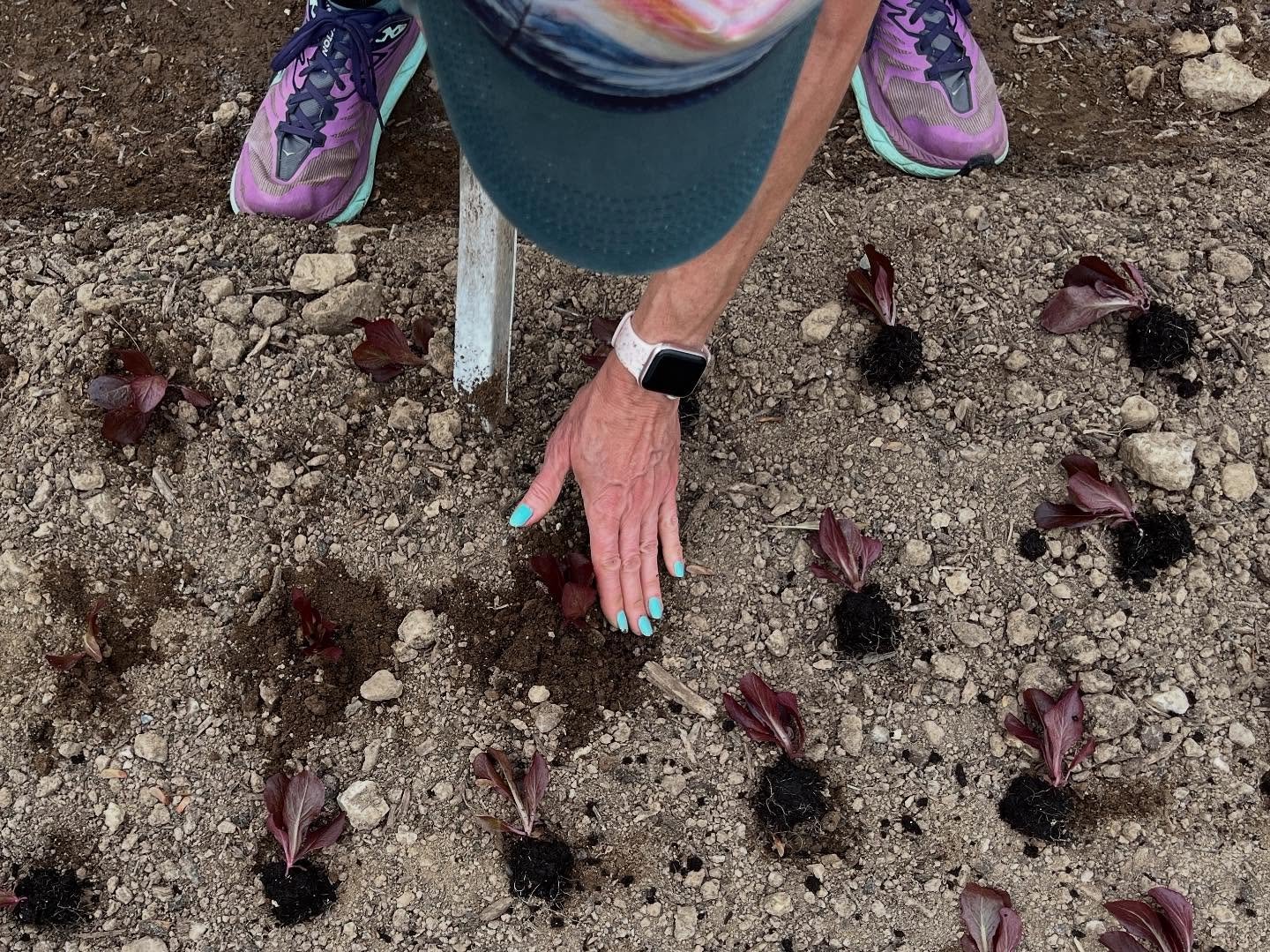 What a JOY today was 🤗 our hearts are filled with a lot of laughter, satisfaction, and excitement 

Today we invited loved ones and board members to the farm for a day of hard work outside and meaningful conversations 🌱☀️

We hoped you joined us to