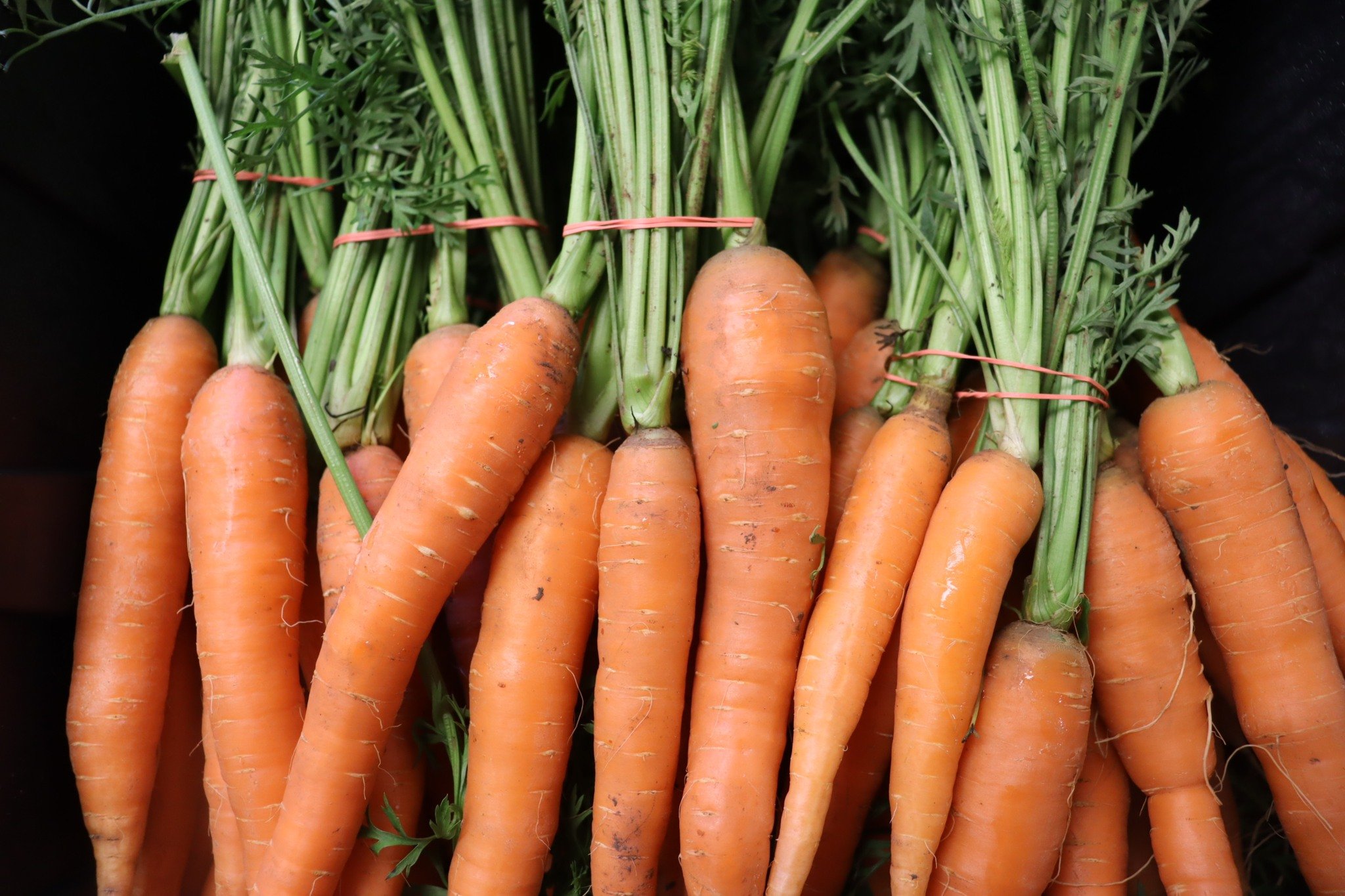 Did you know carrots get sweeter after a frost? 🥕

This year at LEAF, we&rsquo;re leaning into that same wisdom - finding sweetness in slowing down, in reflection, and in the deep work of knowing who we are.
Real leadership means rooting down when t