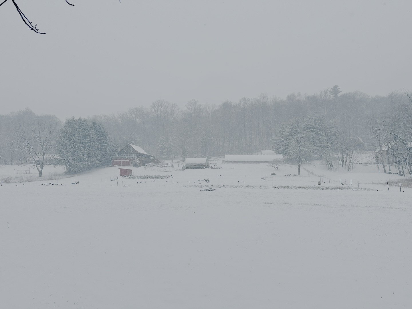 The first real snowfall on the farm is always a little magical! Here&rsquo;s a glimpse at what it looked like here this morning ❄️