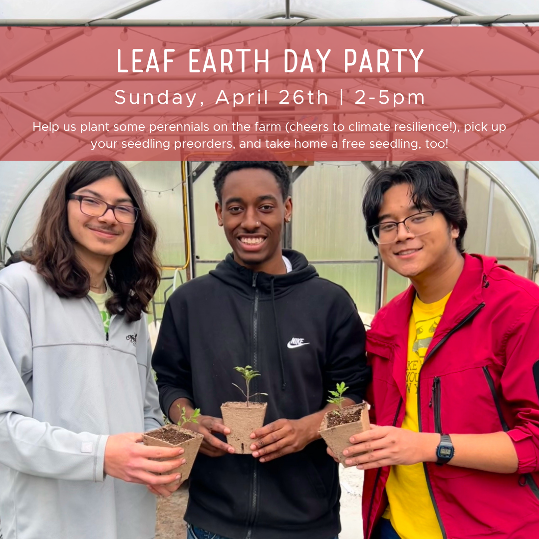 Earth Day Party