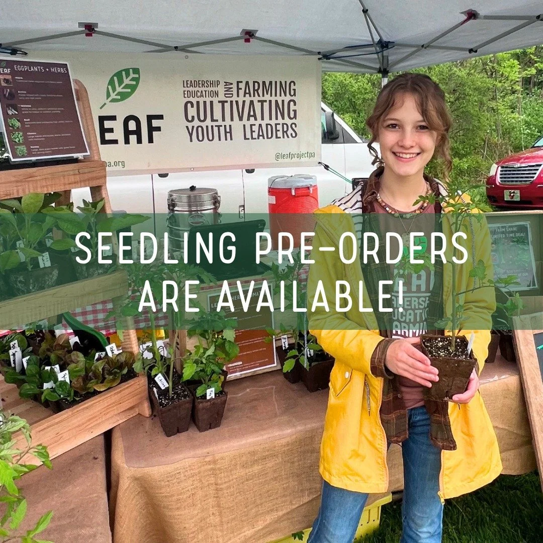 There's no fooling around here - pre-order your seedlings for the spring!  We want to help you stock up your garden with seedlings grown and cared for by our team 💪

Head to our website to check out our varieties + secure your plants today! https://