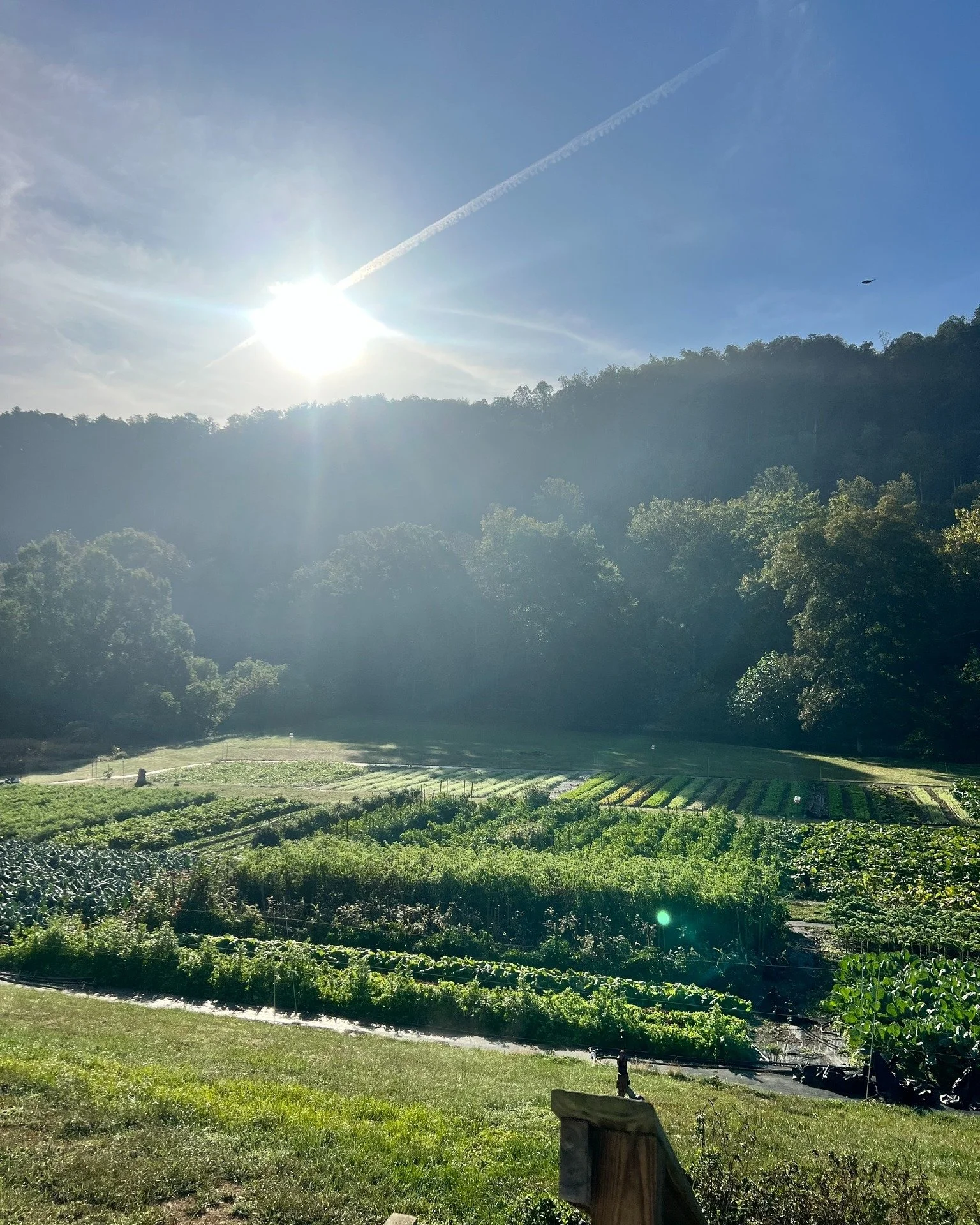 What happens in your body when you hear the words climate change?

Last fall, our youth crew answered that question with honesty: fear, overwhelm, shutdown. So instead of diving straight into data, we chose a different path.

Through our climate resi