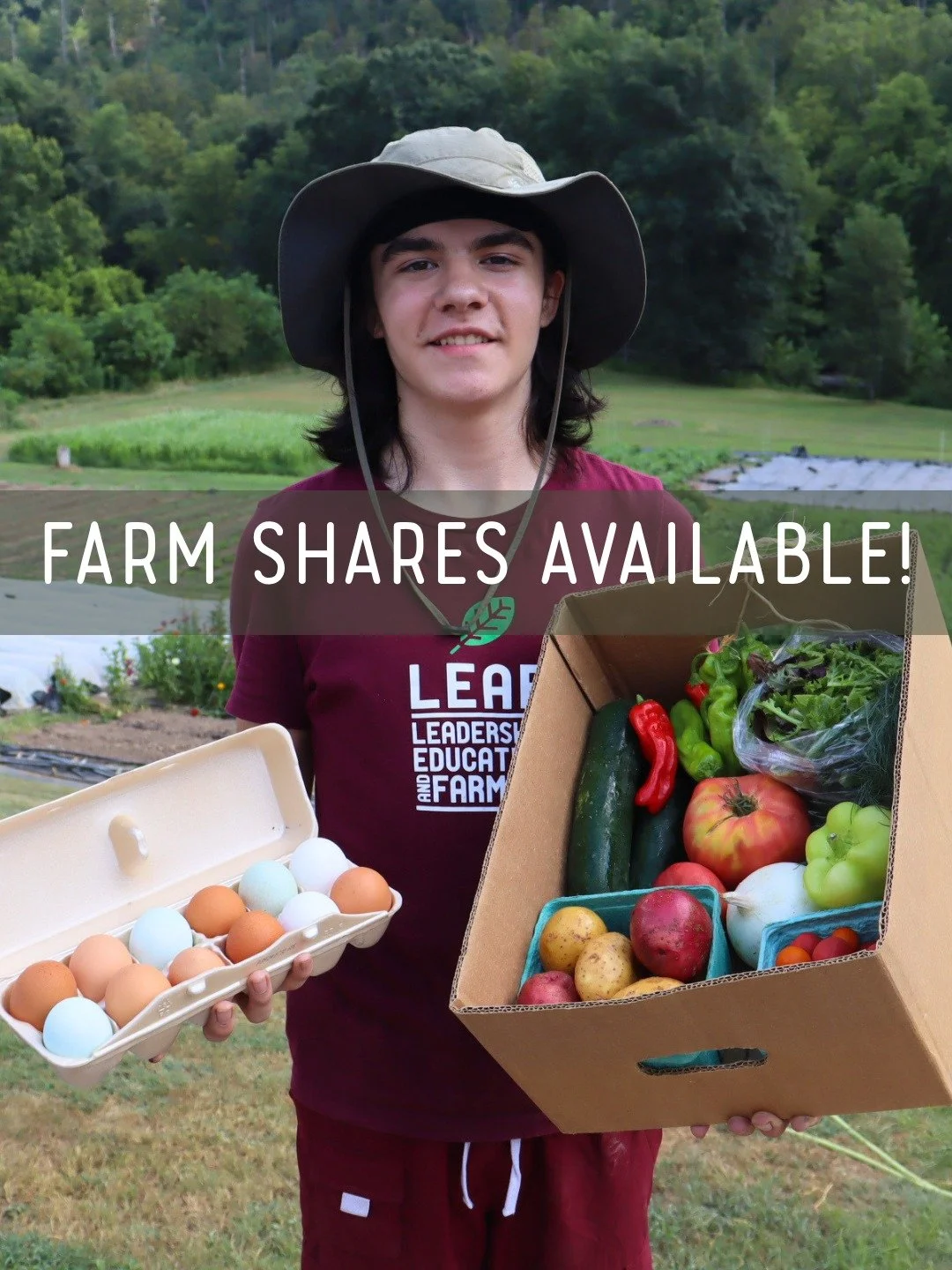 Woah! Doesn't that box look delicious!? Well, not the actual box...but all the produce inside!

With a LEAF Farm Share, you get a fresh box of produce locally delivered each week - for 22 weeks!  Not having to think about what produce to get at the s