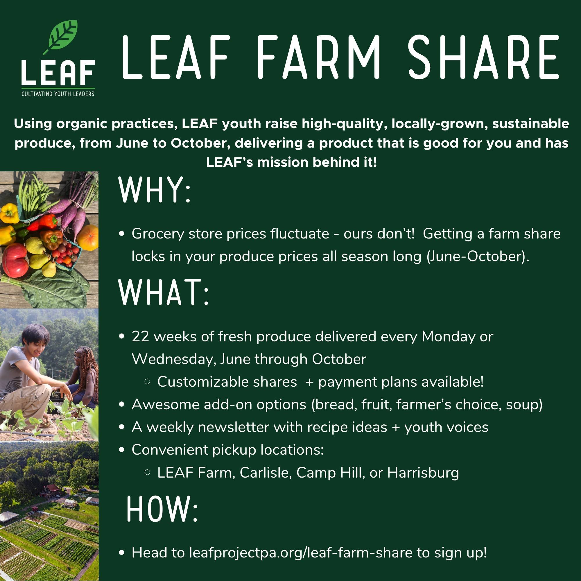 In case you didn't know, LEAF has a pretty great farm share 🙌 

Between our range of size options, different pickup locations, and simply supporting our emerging leaders through the process, we're really here to make local eating easy + impactful. 
