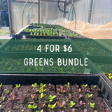 4 for $6 greens bundle.png