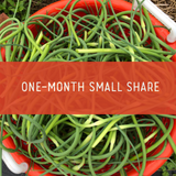 Website Store Photo Icons (1).png