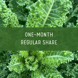 Website Store Photo Icons.png