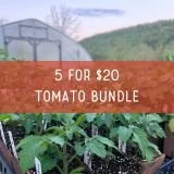 5 for $20 tomato bundle.jpg