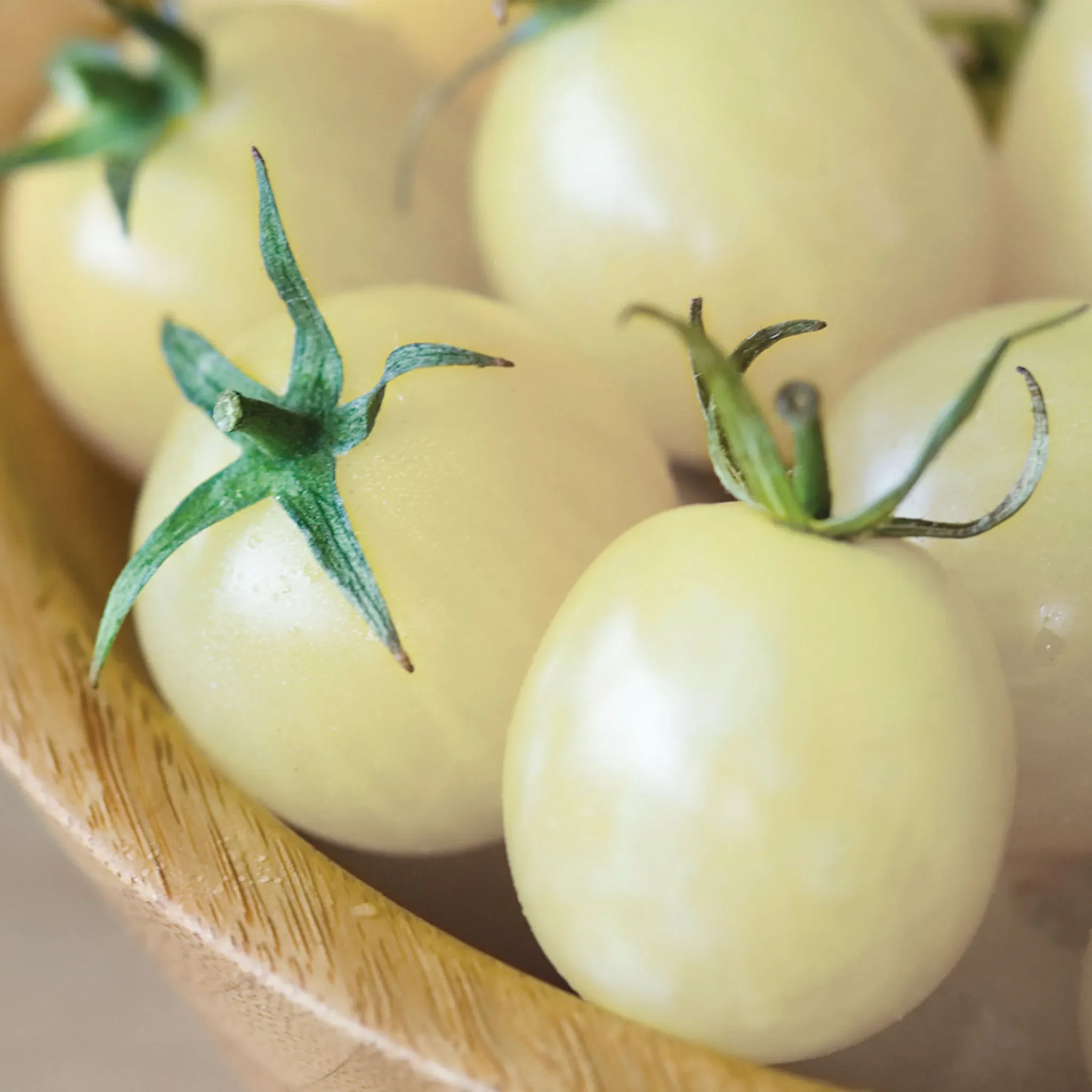 italian ice cherry tomato.webp