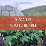 3 for $13 tomato bundle.jpg