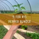 5 for $15 pepper bundle.jpg